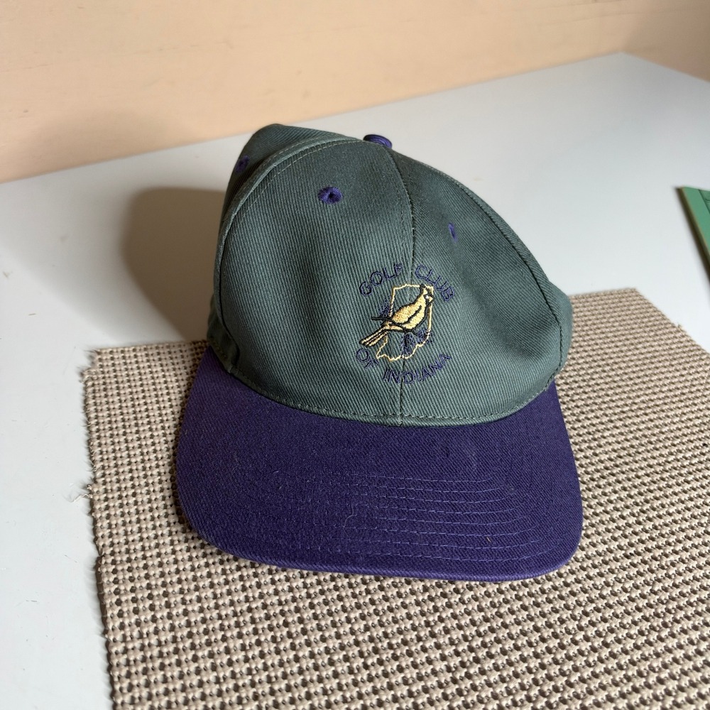 Vintage Nike Golf Hat Green Purple Golf Club of Indiana Swoosh Cap F61203 CCH